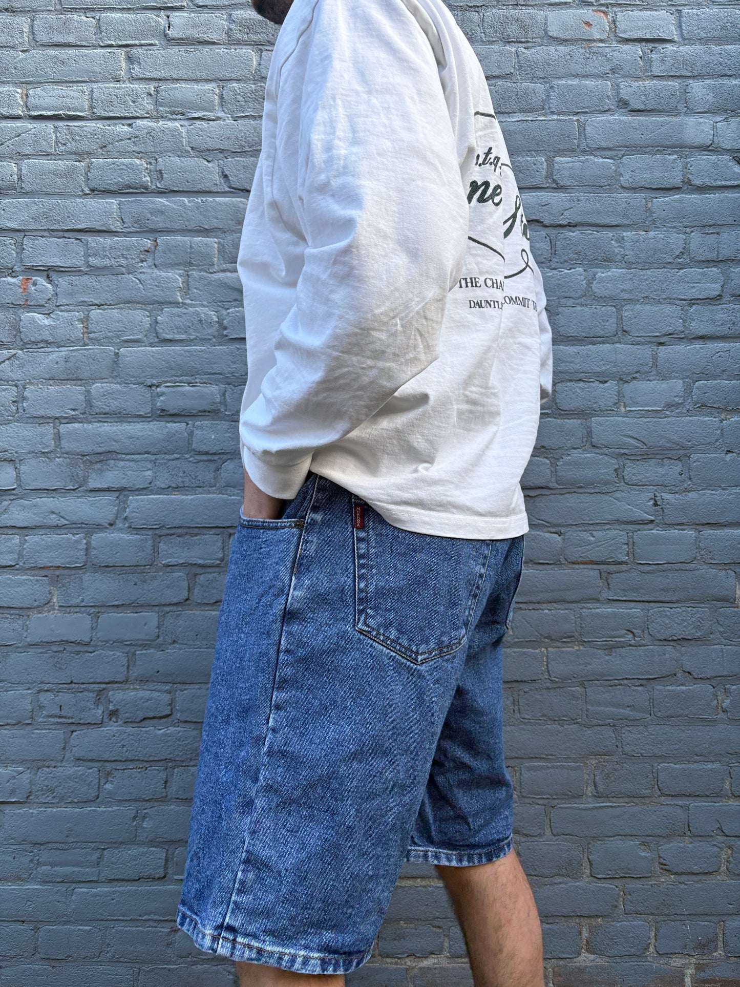 (W32) Vintage Jorts