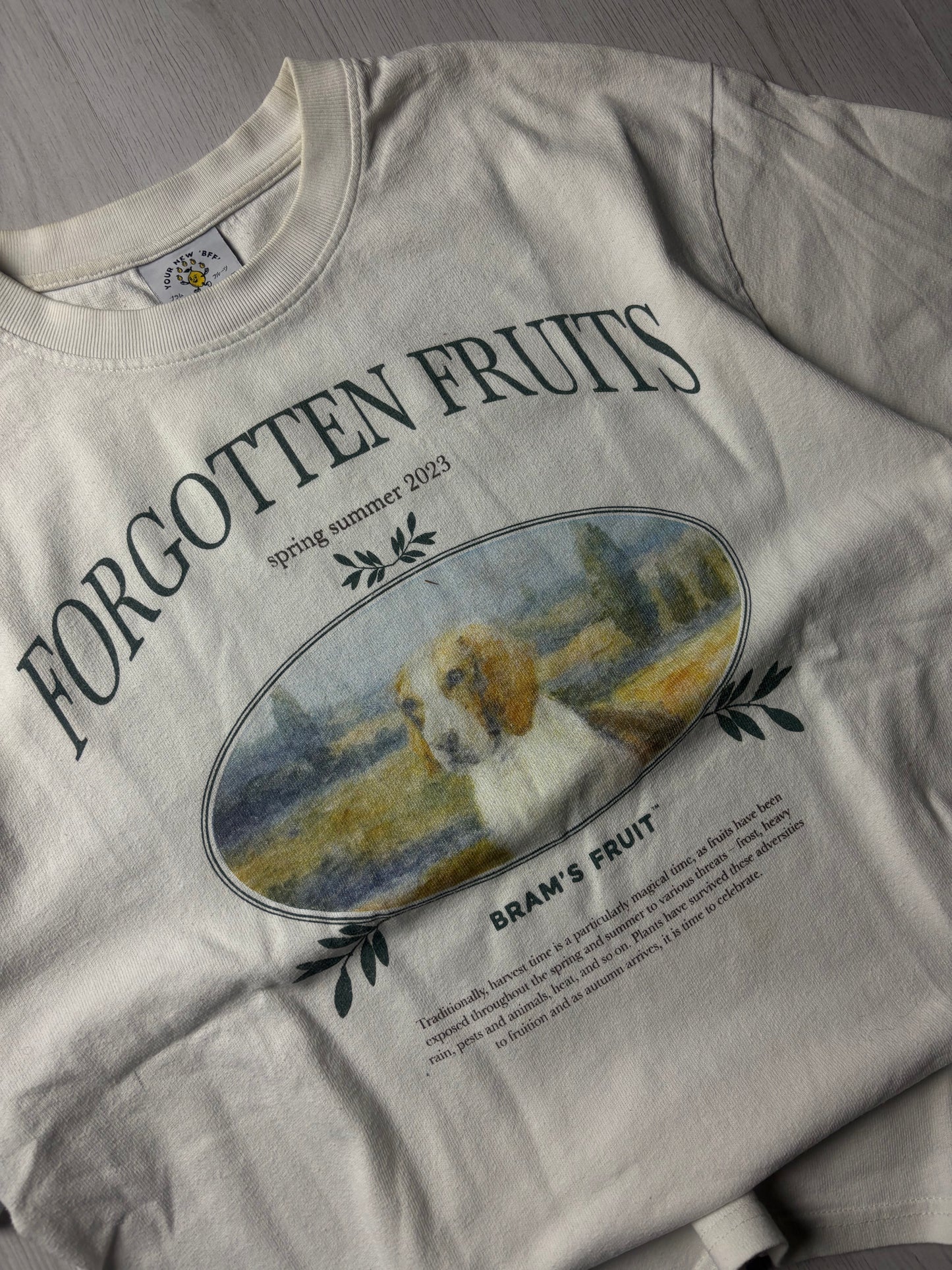 Bram's Fruit T-Shirt - Wit - Medium